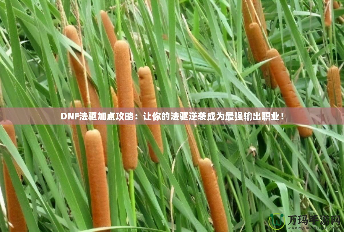 DNF法驅加點攻略：讓你的法驅逆襲成為最強輸出職業！