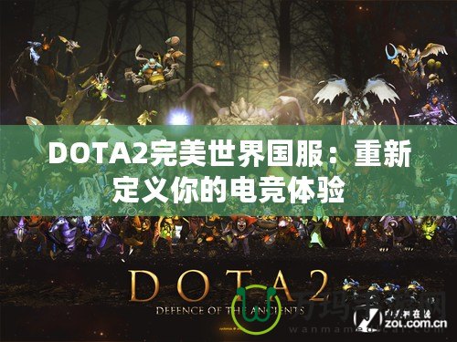 DOTA2完美世界國(guó)服：重新定義你的電競(jìng)體驗(yàn)