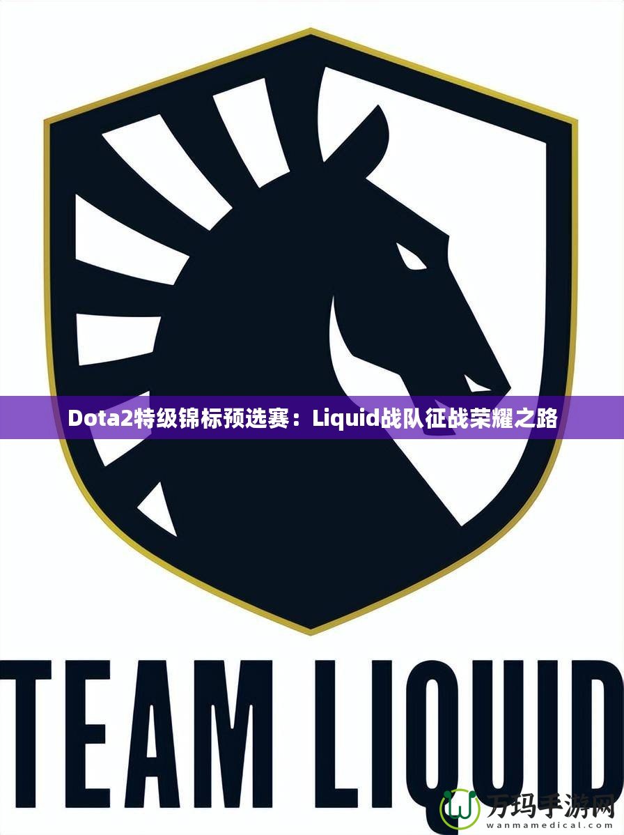 Dota2特級錦標預選賽：Liquid戰隊征戰榮耀之路