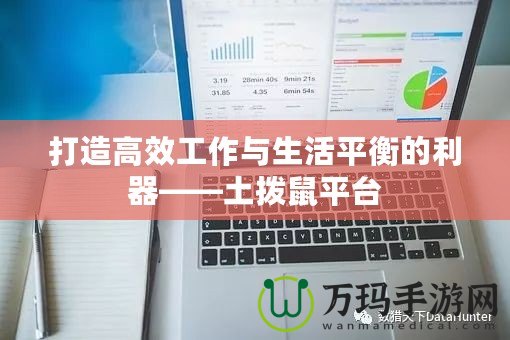 打造高效工作與生活平衡的利器——土撥鼠平臺