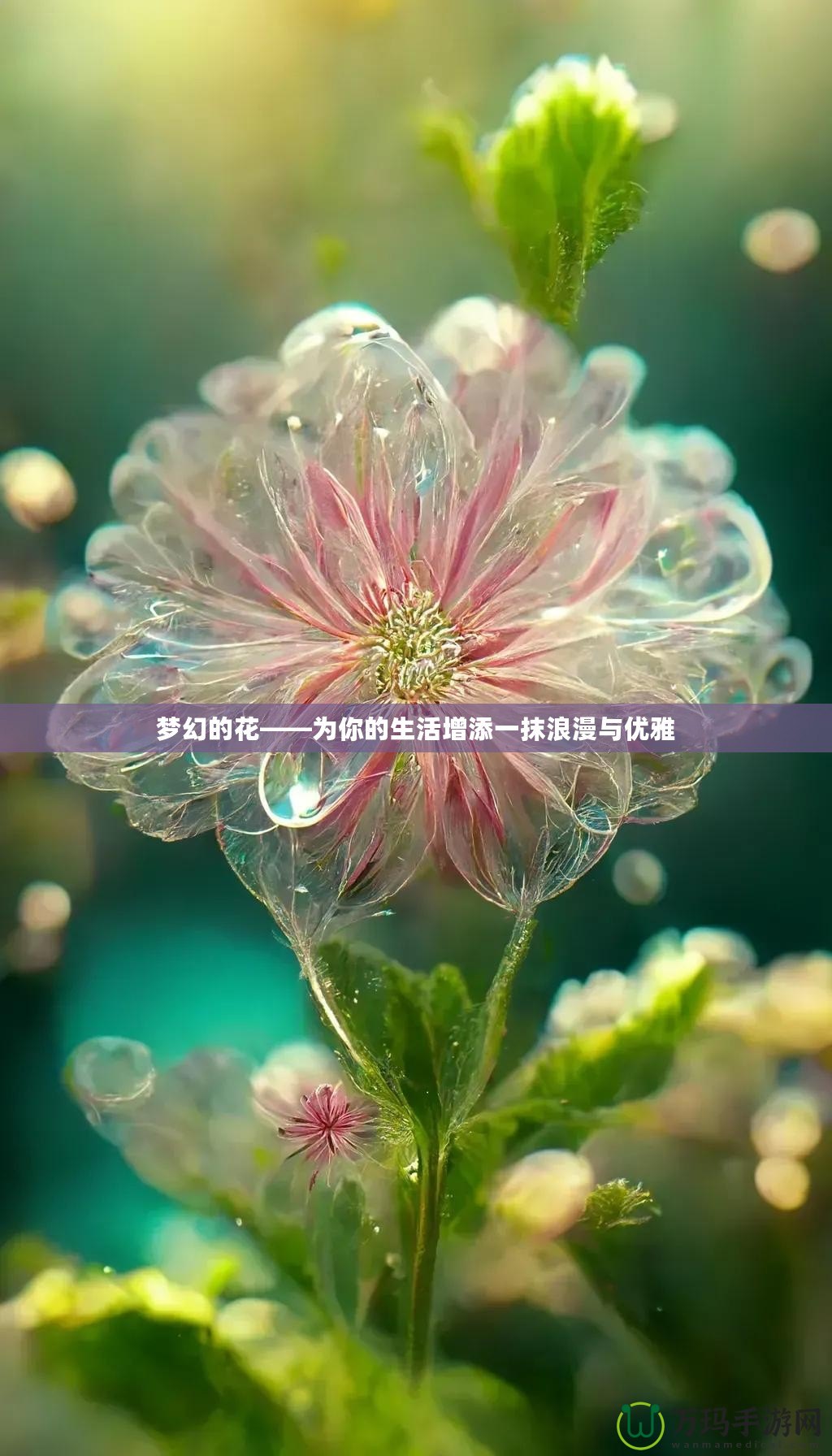 夢(mèng)幻的花——為你的生活增添一抹浪漫與優(yōu)雅