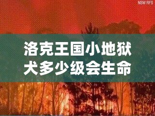 洛克王國小地獄犬多少級(jí)會(huì)生命火焰？揭秘最強(qiáng)寵物成長路線！