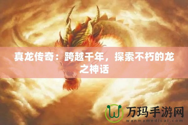 真龍傳奇：跨越千年，探索不朽的龍之神話