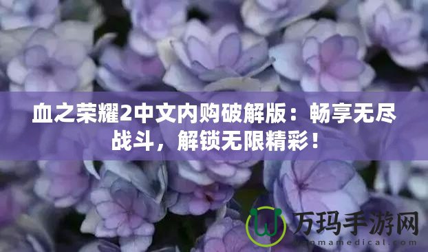 血之榮耀2中文內購破解版：暢享無盡戰斗，解鎖無限精彩！