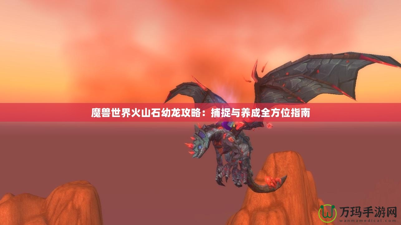 魔獸世界火山石幼龍攻略：捕捉與養成全方位指南