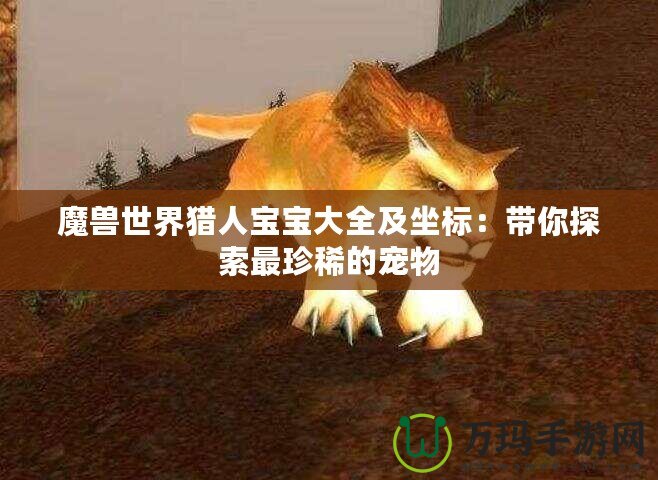 魔獸世界獵人寶寶大全及坐標(biāo)：帶你探索最珍稀的寵物