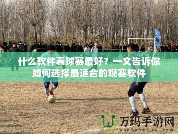 什么軟件看球賽最好？一文告訴你如何選擇最適合的觀賽軟件