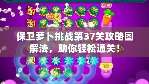 保衛蘿卜挑戰第37關攻略圖解法，助你輕松通關！