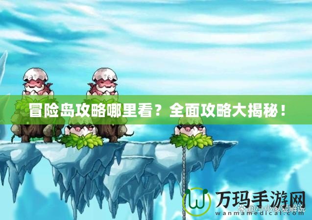 冒險島攻略哪里看？全面攻略大揭秘！