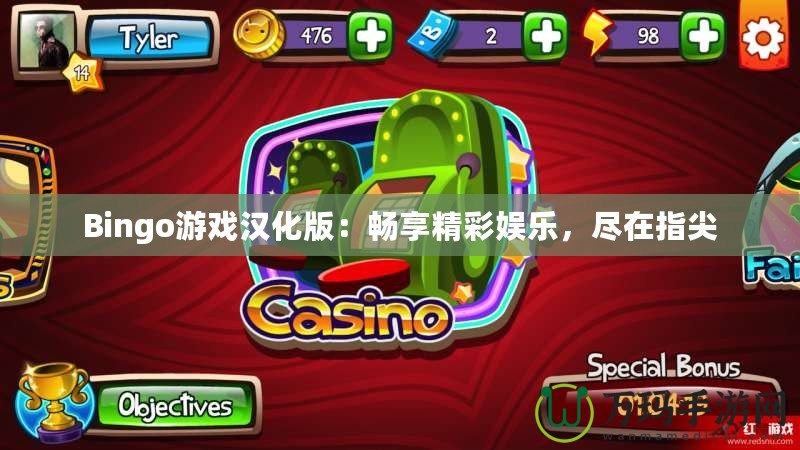 Bingo游戲漢化版：暢享精彩娛樂，盡在指尖