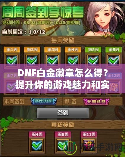 DNF白金徽章怎么得？提升你的游戲魅力和實力！