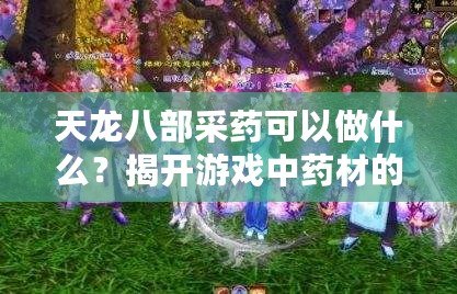 天龍八部采藥可以做什么？揭開游戲中藥材的神秘面紗！