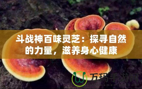 斗戰神百味靈芝：探尋自然的力量，滋養身心健康