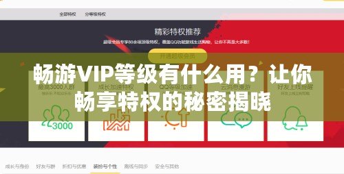 暢游VIP等級(jí)有什么用？讓你暢享特權(quán)的秘密揭曉