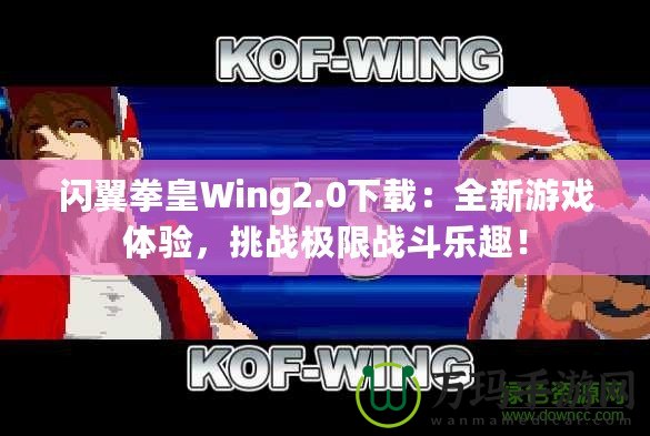 閃翼拳皇Wing2.0下載：全新游戲體驗，挑戰(zhàn)極限戰(zhàn)斗樂趣！