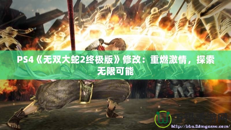 PS4《無雙大蛇2終極版》修改：重燃激情，探索無限可能