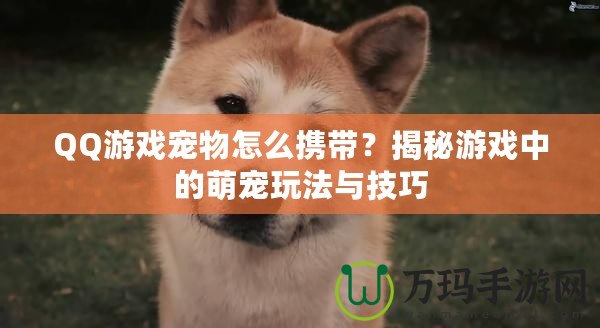 QQ游戲寵物怎么攜帶？揭秘游戲中的萌寵玩法與技巧