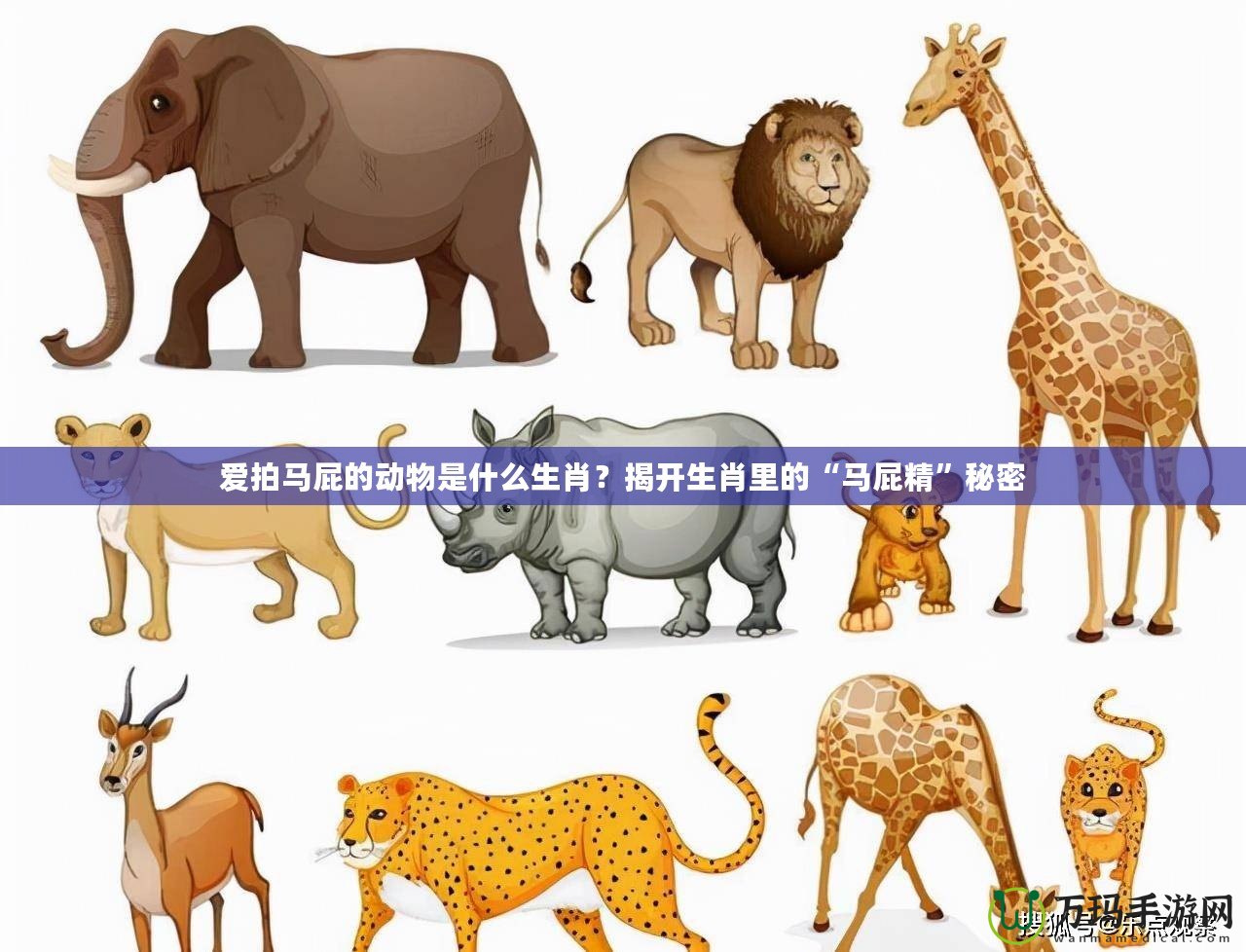 愛拍馬屁的動物是什么生肖？揭開生肖里的“馬屁精”秘密