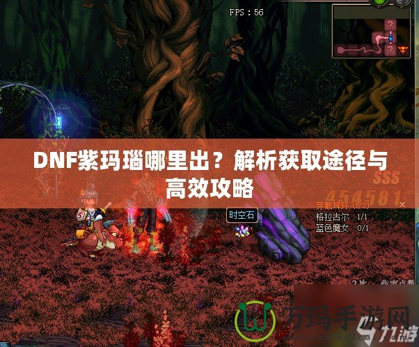 DNF紫瑪瑙哪里出？解析獲取途徑與高效攻略