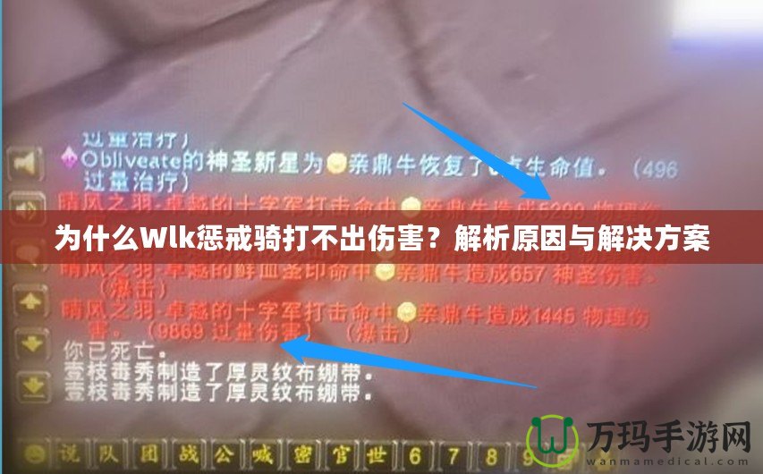 為什么Wlk懲戒騎打不出傷害？解析原因與解決方案