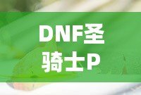 DNF圣騎士PK放大打斷原因分析