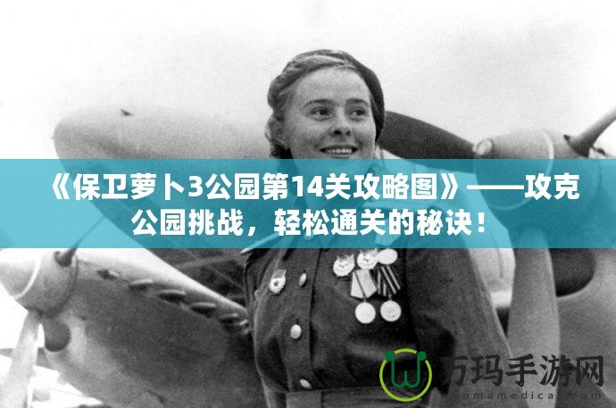 《保衛蘿卜3公園第14關攻略圖》——攻克公園挑戰，輕松通關的秘訣！