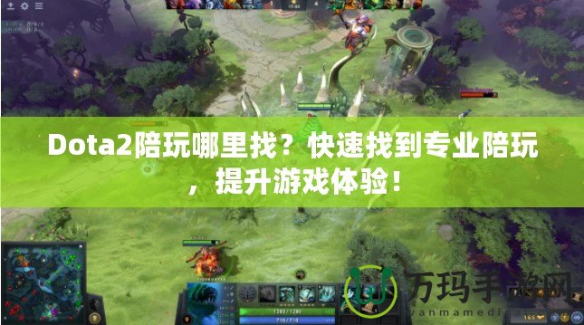 Dota2陪玩哪里找？快速找到專業陪玩，提升游戲體驗！