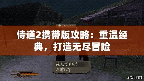 侍道2攜帶版攻略：重溫經典，打造無盡冒險