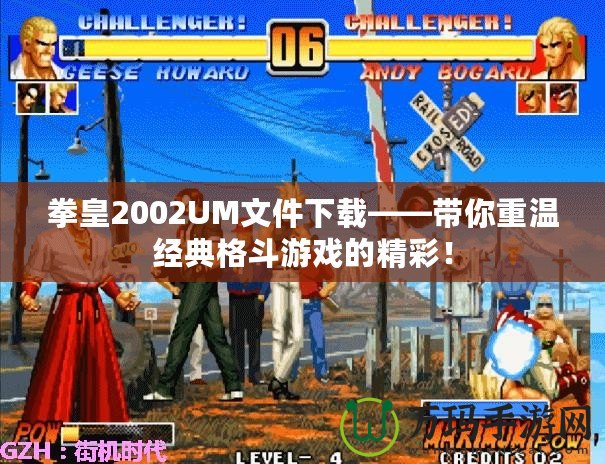 拳皇2002UM文件下載——帶你重溫經典格斗游戲的精彩！