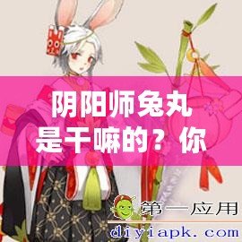 陰陽師兔丸是干嘛的？你還不了解這個神秘式神嗎？