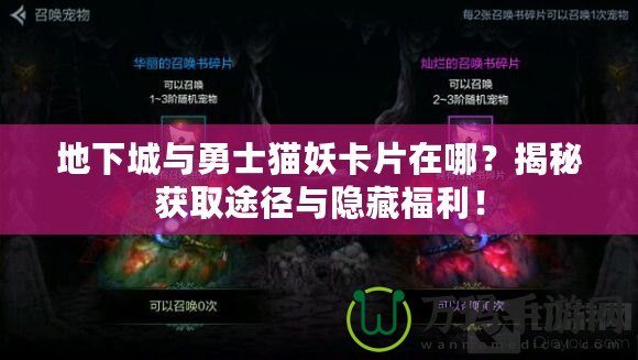 地下城與勇士貓妖卡片在哪？揭秘獲取途徑與隱藏福利！