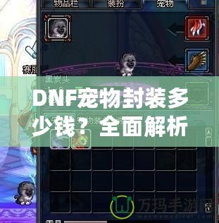 DNF寵物封裝多少錢？全面解析封裝寵物的價值與技巧