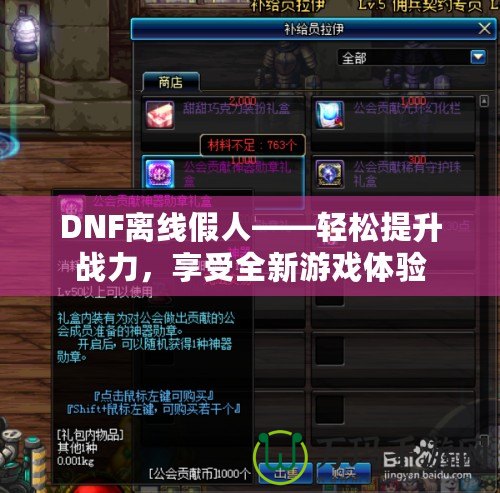 DNF離線假人——輕松提升戰力，享受全新游戲體驗