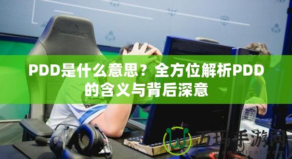 PDD是什么意思？全方位解析PDD的含義與背后深意