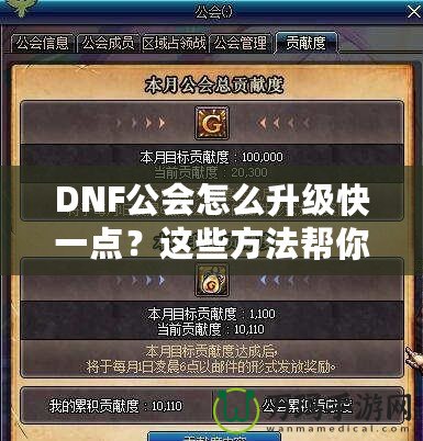 DNF公會怎么升級快一點？這些方法幫你事半功倍！