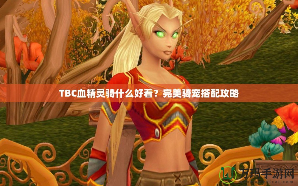 TBC血精靈騎什么好看？完美騎寵搭配攻略