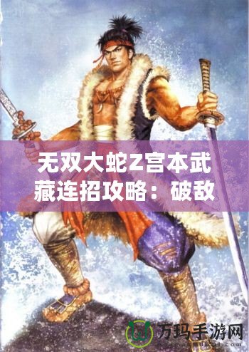 無(wú)雙大蛇Z宮本武藏連招攻略：破敵絕技，劍指無(wú)雙！