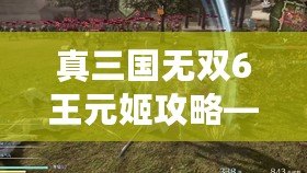 真三國無雙6王元姬攻略——全面解析她的戰斗技巧與玩法