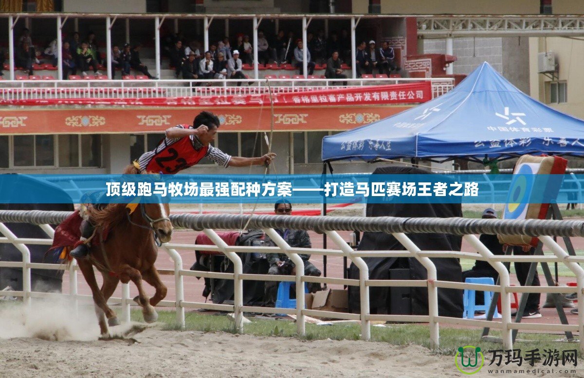 頂級跑馬牧場最強配種方案——打造馬匹賽場王者之路