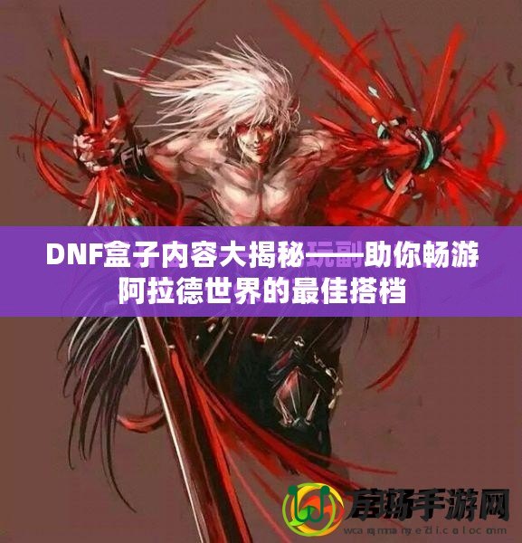 DNF盒子內(nèi)容大揭秘——助你暢游阿拉德世界的最佳搭檔