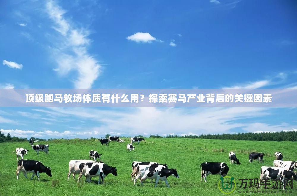 頂級跑馬牧場體質(zhì)有什么用？探索賽馬產(chǎn)業(yè)背后的關(guān)鍵因素