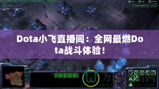 Dota小飛直播間：全網最燃Dota戰斗體驗！