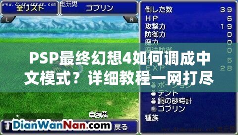 PSP最終幻想4如何調(diào)成中文模式？詳細(xì)教程一網(wǎng)打盡！