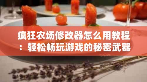 瘋狂農場修改器怎么用教程：輕松暢玩游戲的秘密武器