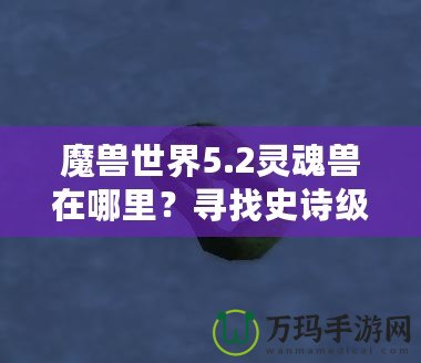 魔獸世界5.2靈魂獸在哪里？尋找史詩級寵物的終極指南