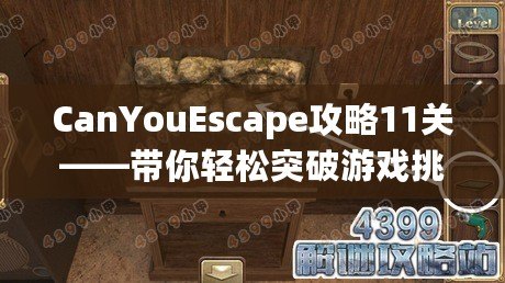 CanYouEscape攻略11關——帶你輕松突破游戲挑戰！