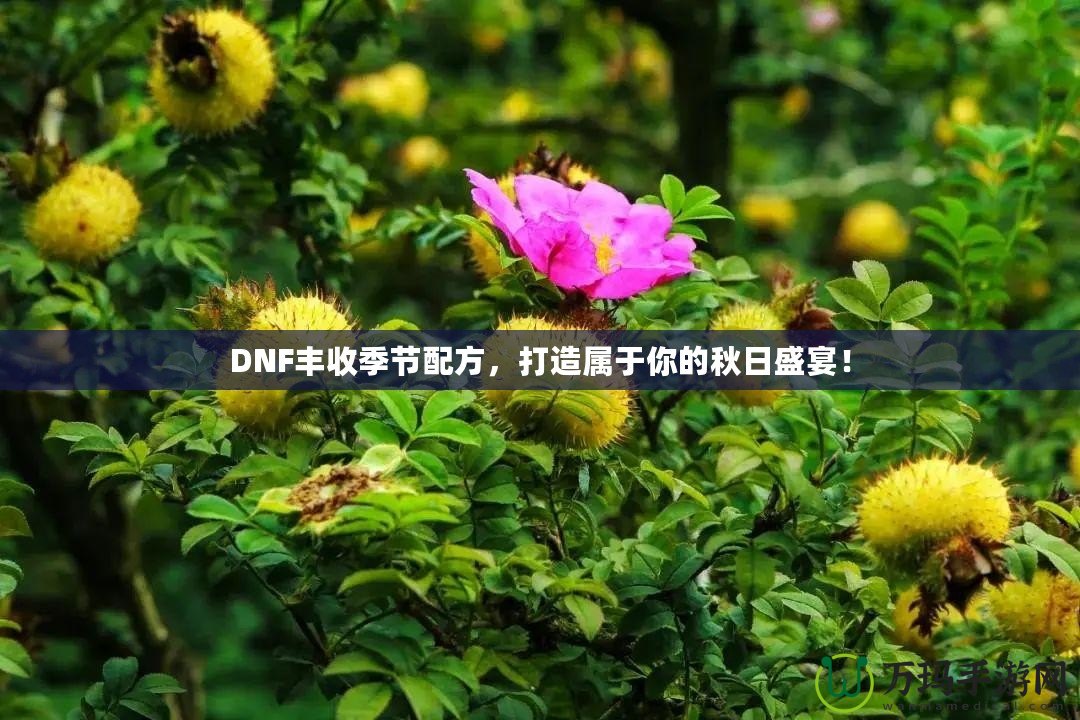 DNF豐收季節(jié)配方，打造屬于你的秋日盛宴！