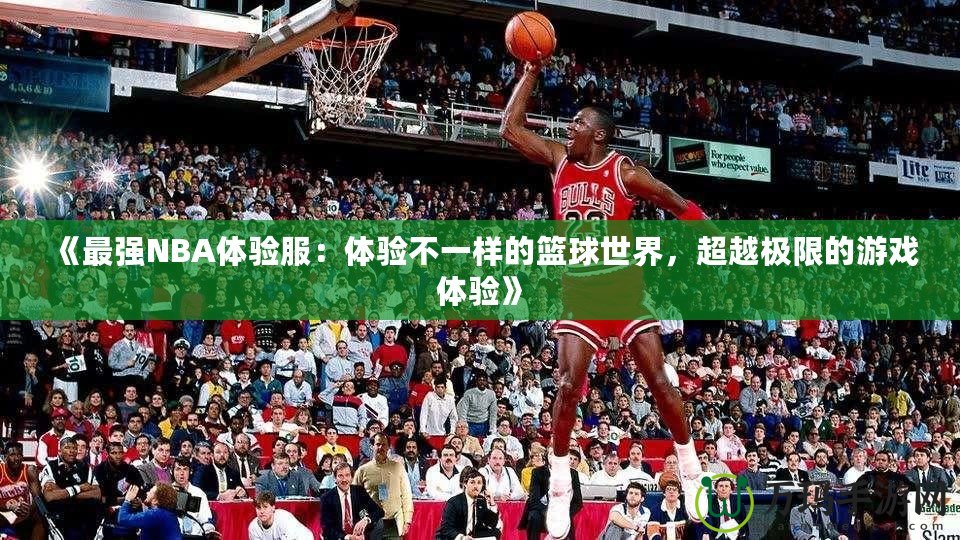 《最強NBA體驗服：體驗不一樣的籃球世界，超越極限的游戲體驗》