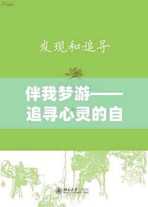 伴我夢(mèng)游——追尋心靈的自由與平靜