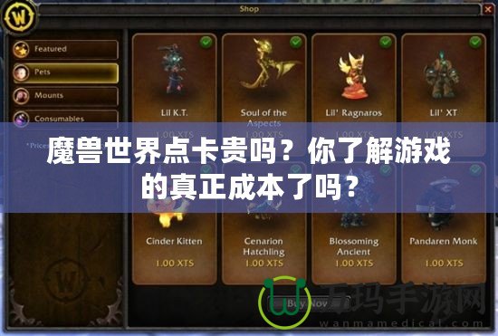 魔獸世界點卡貴嗎？你了解游戲的真正成本了嗎？